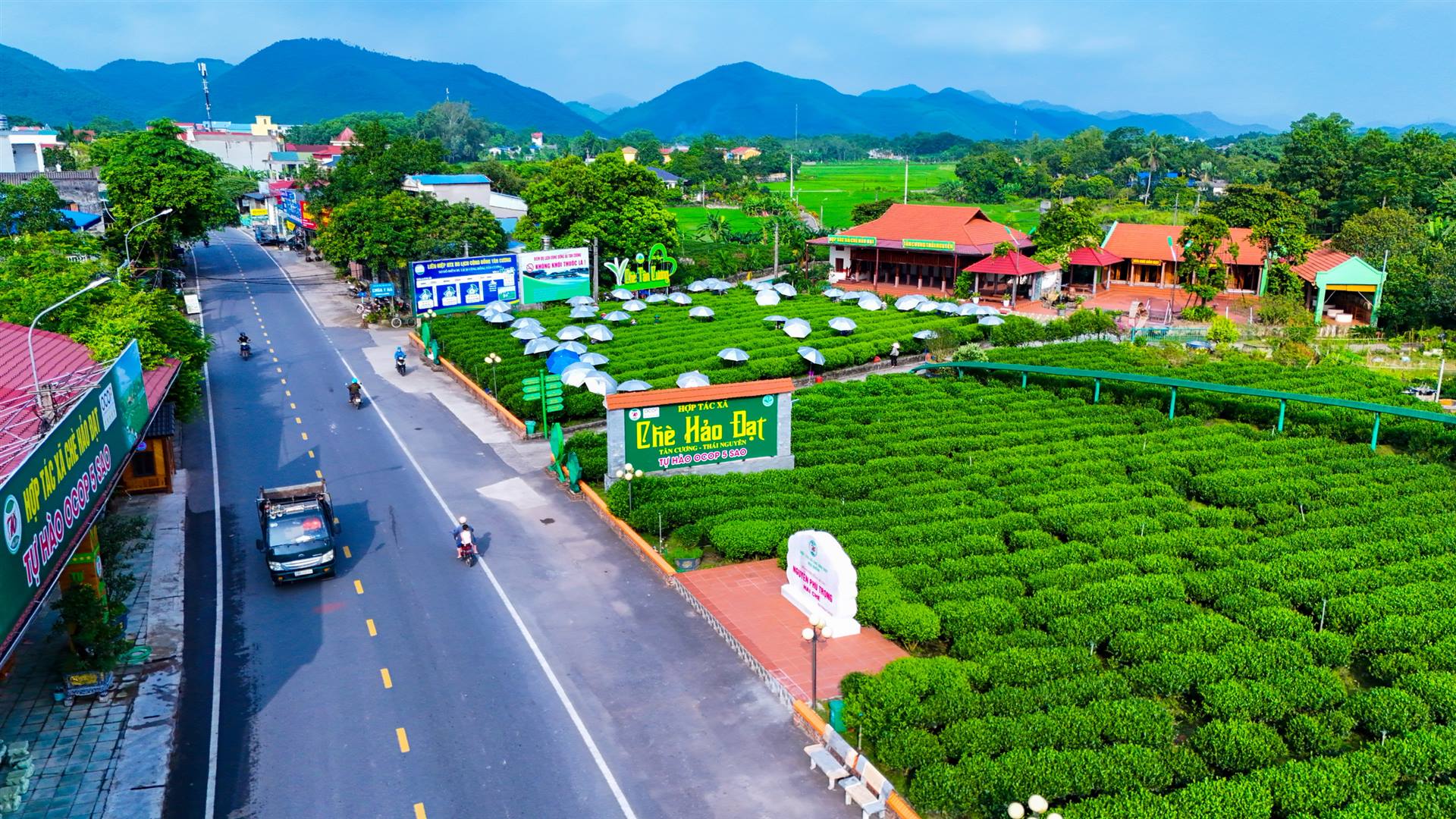 Vùng chè tại xã Tân Cương (Thái Nguyên) được sản xuất theo hướng an toàn, bền vững, góp phần thực hiện mục tiêu giảm phát thải trong lĩnh vực trồng trọt. Ảnh: Ngọc Tú