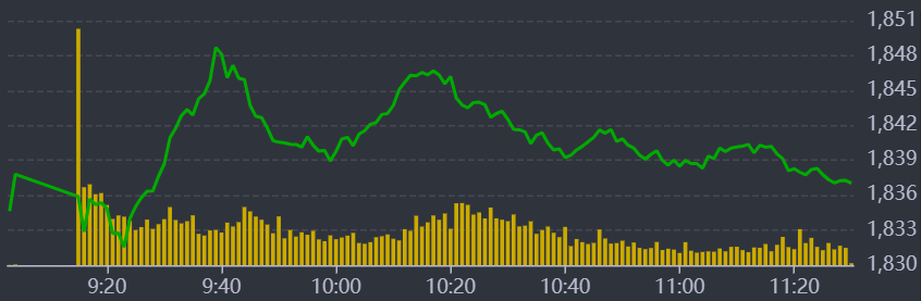 Diễn biến Vn-Index sáng nay.