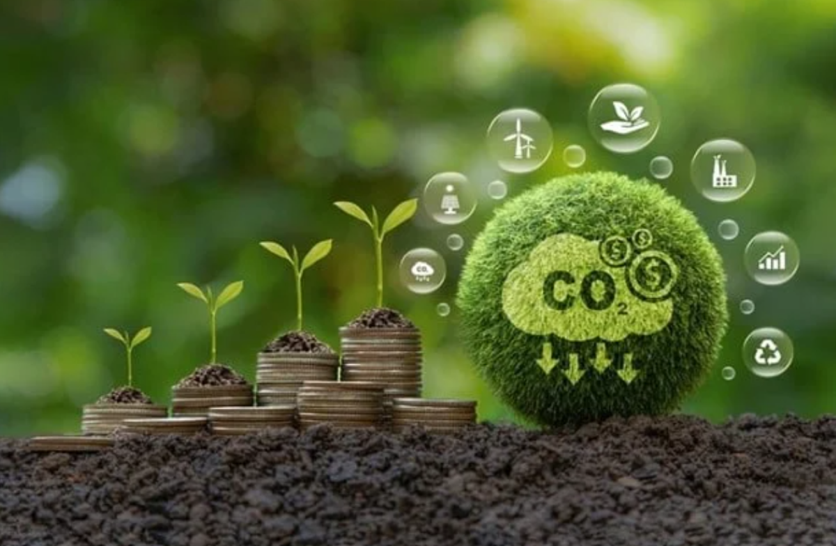 Việt Nam thúc đẩy hợp tác ASEAN trong triển khai hành động carbon xanh dương