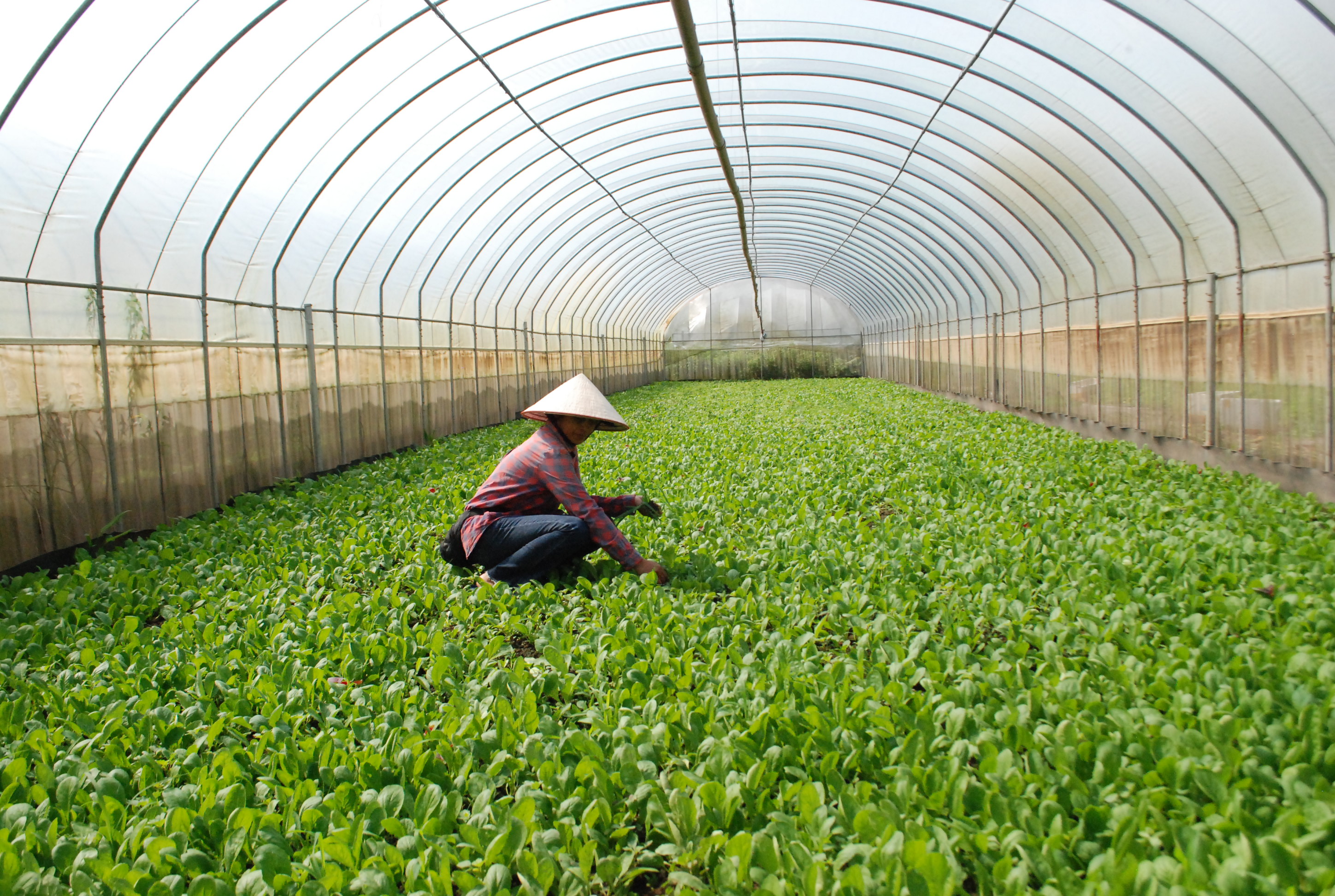 Mở rộng và PG88 hơn 2,1 triệu thành viên các chuỗi liên kết giá trị PG88 ⭐ Link trang chủ số 1 nhà cái PG88 com casino slot hữu cơ và theo hướng hữu cơ đối với những sản phẩm có thế mạnh của địa phương. Ảnh minh hoạ