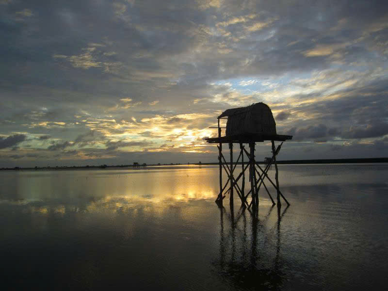 Ramsar Xuân Thủy là điểm nhấn du lịch biển ở Ninh Bình