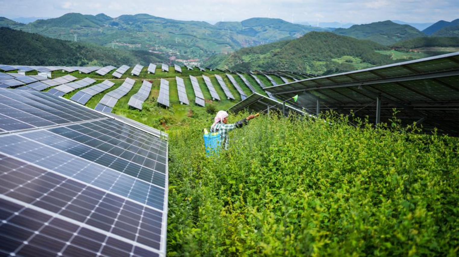 "Lá chắn" giúp Trung Quốc giảm mạnh phụ thuộc vào dầu mỏ, qua đó nâng cao khả năng chống chịu trước biến động giá năng lượng toàn cầu. Nguồn ảnh: Xinhua