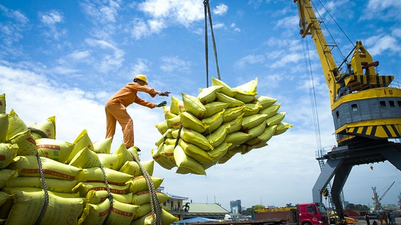 Tập trung giải pháp linh hoạt điều hành sản xuất, tiêu thụ gạo