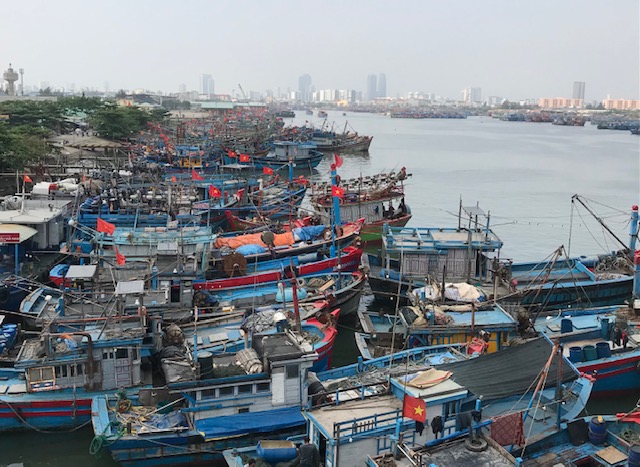 Tàu cá của các tỉnh miền Trung, neo đậu tại Âu thuyền Thọ Quang-Đà Nẵng. Ảnh Ngô Anh Văn.