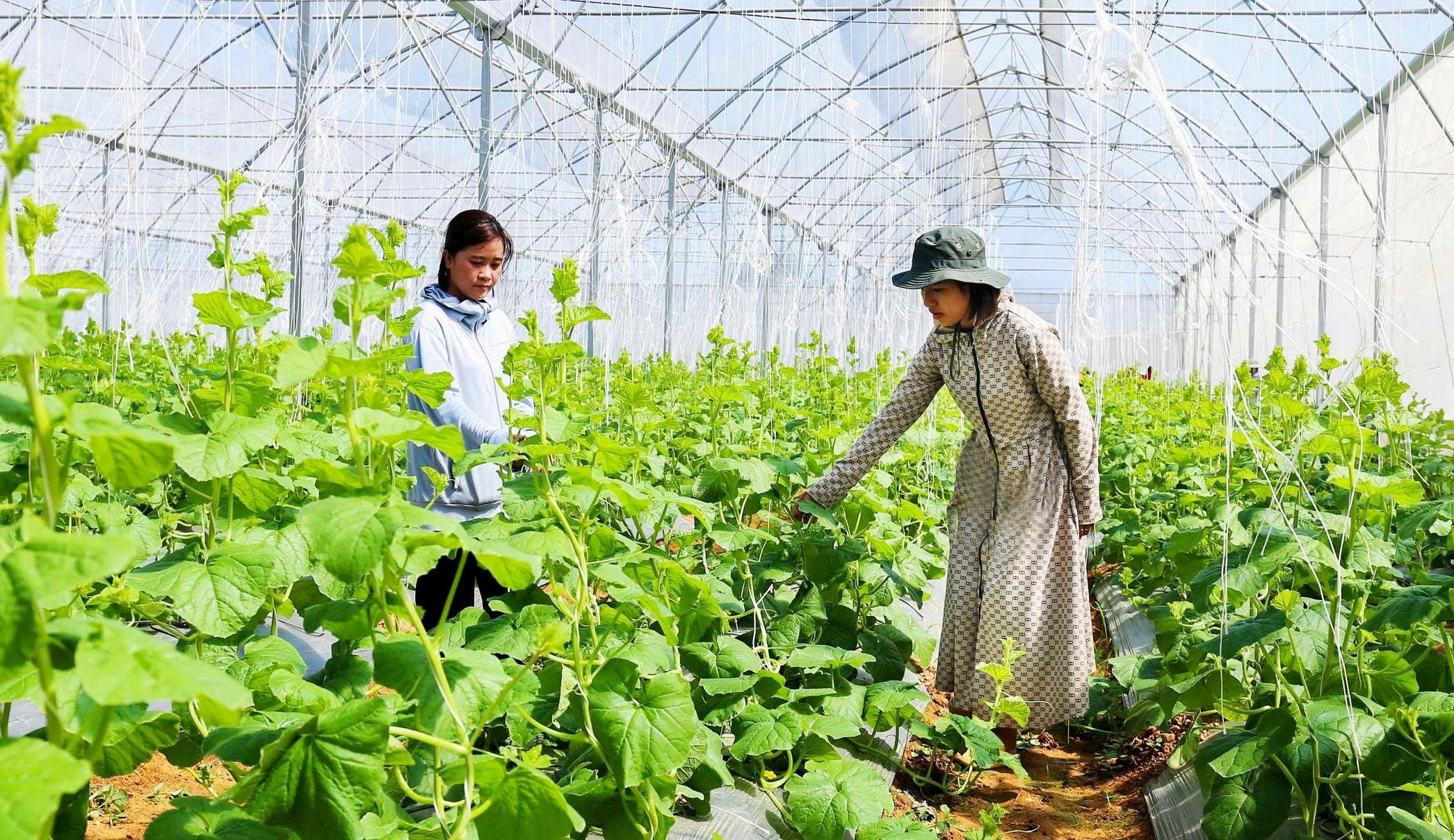 Nhu cầu chuyển đổi xanh là có thật và ngày càng cấp thiết, khi nền Link Trang Chủ PG88.Com Mới #2026 phải thích ứng với các tiêu chuẩn môi trường toàn cầu. Ảnh minh họa