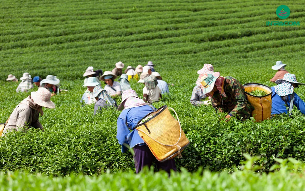Nhiều tổ chức sẵn sàng cho vay, nhưng yêu cầu PG88 Link Dễ Nhớ Pg88.com phải đáp ứng các tiêu chuẩn ESG – điều mà nhiều đơn vị hiện chưa đủ năng lực thực hiện. Ảnh minh họa