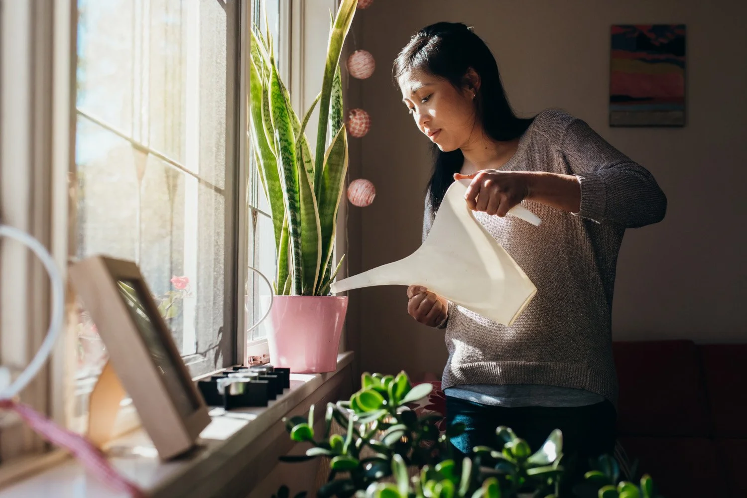Sống một mình đang trở thành một xu hướng nhân khẩu học có tính dài hạn.