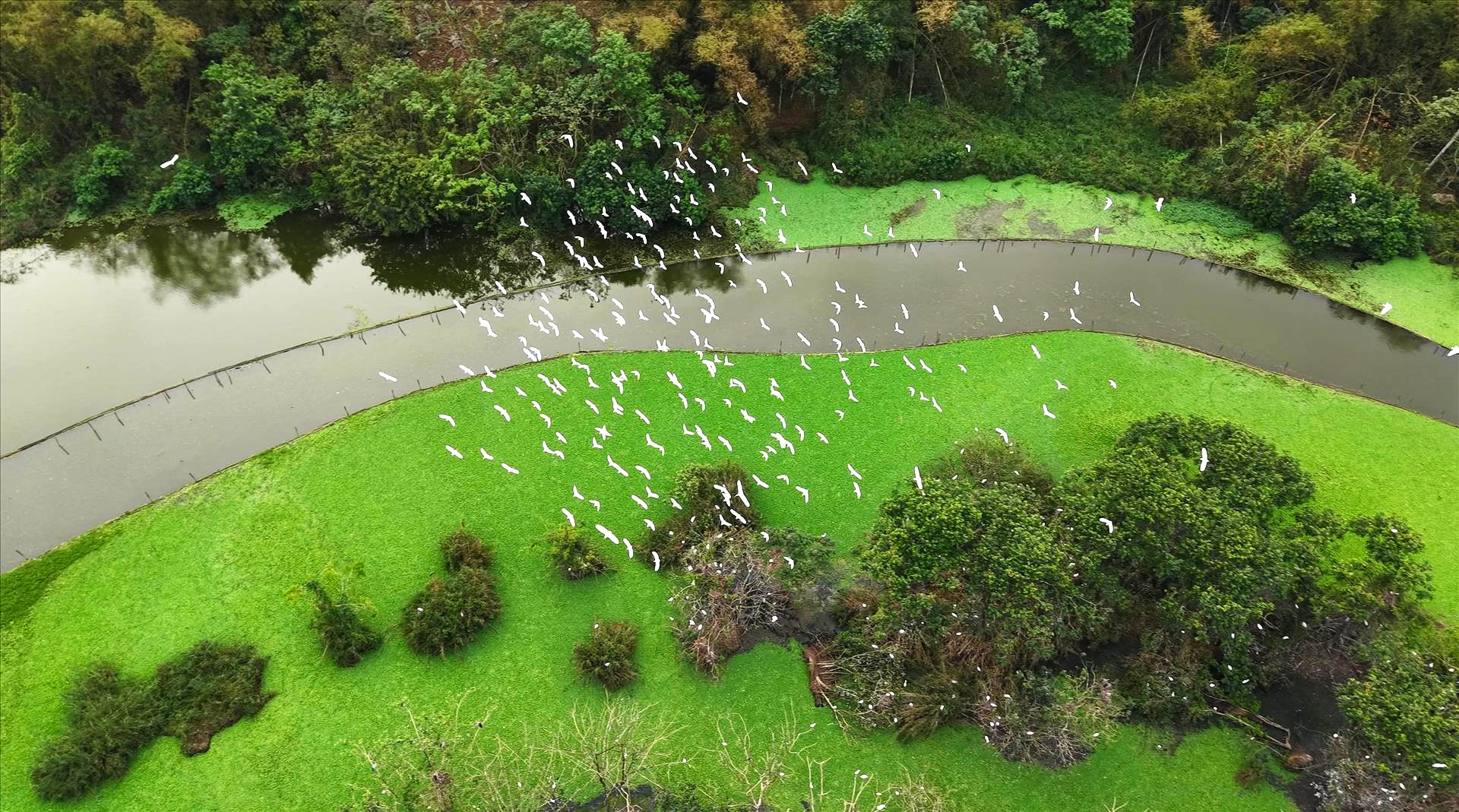 Vietravel định hướng lại danh mục tour theo hướng tập trung vào các tuyến gần, tour nội địa và sản phẩm tối ưu chi phí.