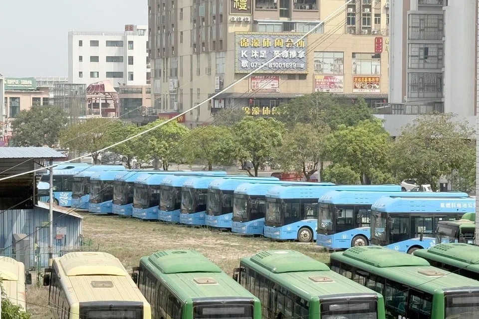 Các xe buýt hydro (màu xanh) đỗ tại bến xe Danzao, Nam Hải, Phật Sơn. Ảnh: JOYCE ZK LIM/ST