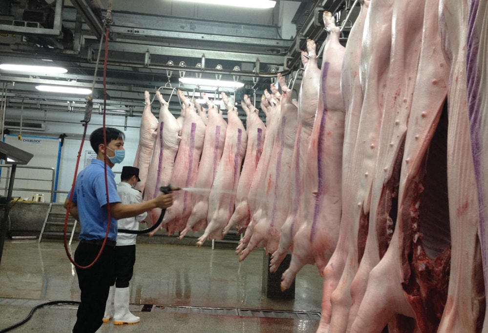 Chi tiết mức lương của công chức chuyên ngành kiểm dịch động vật 