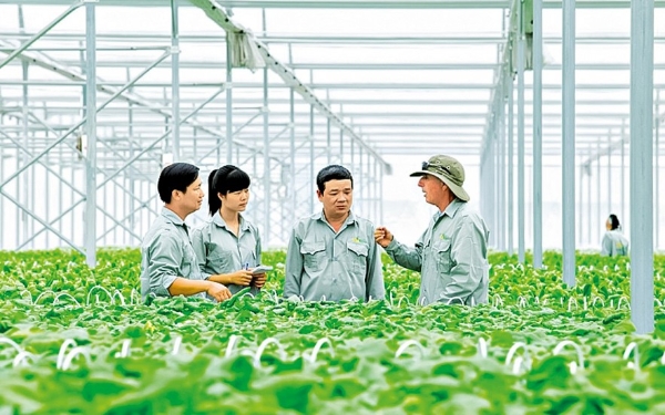 Sẽ có tiêu chí cụ thể các mục tiêu, yêu cầu với Pg88vn.top độc quyền mỗi ngày xanh. Ảnh minh họa