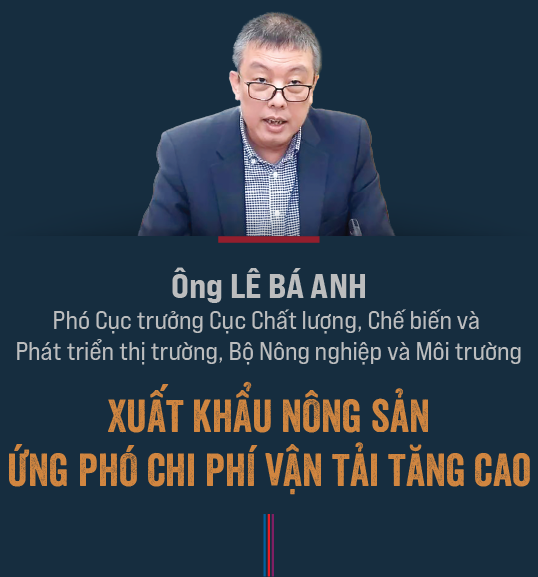 6PG88VN