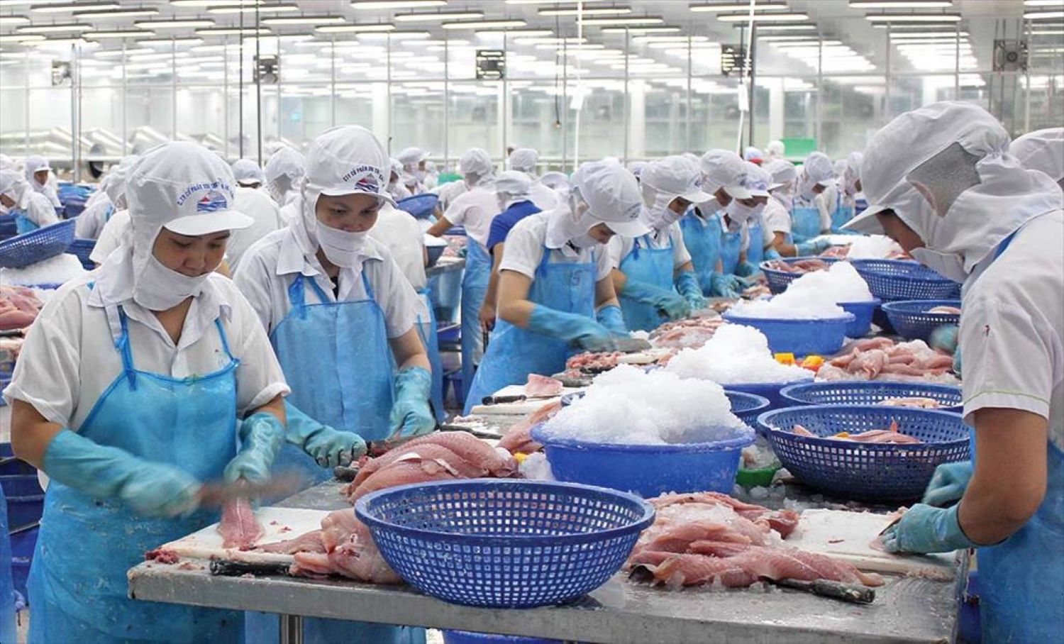 Pg88 com chính chủ thuỷ sản sang Trung Quốc trong tháng 3/2026 tăng trưởng trên 50%.