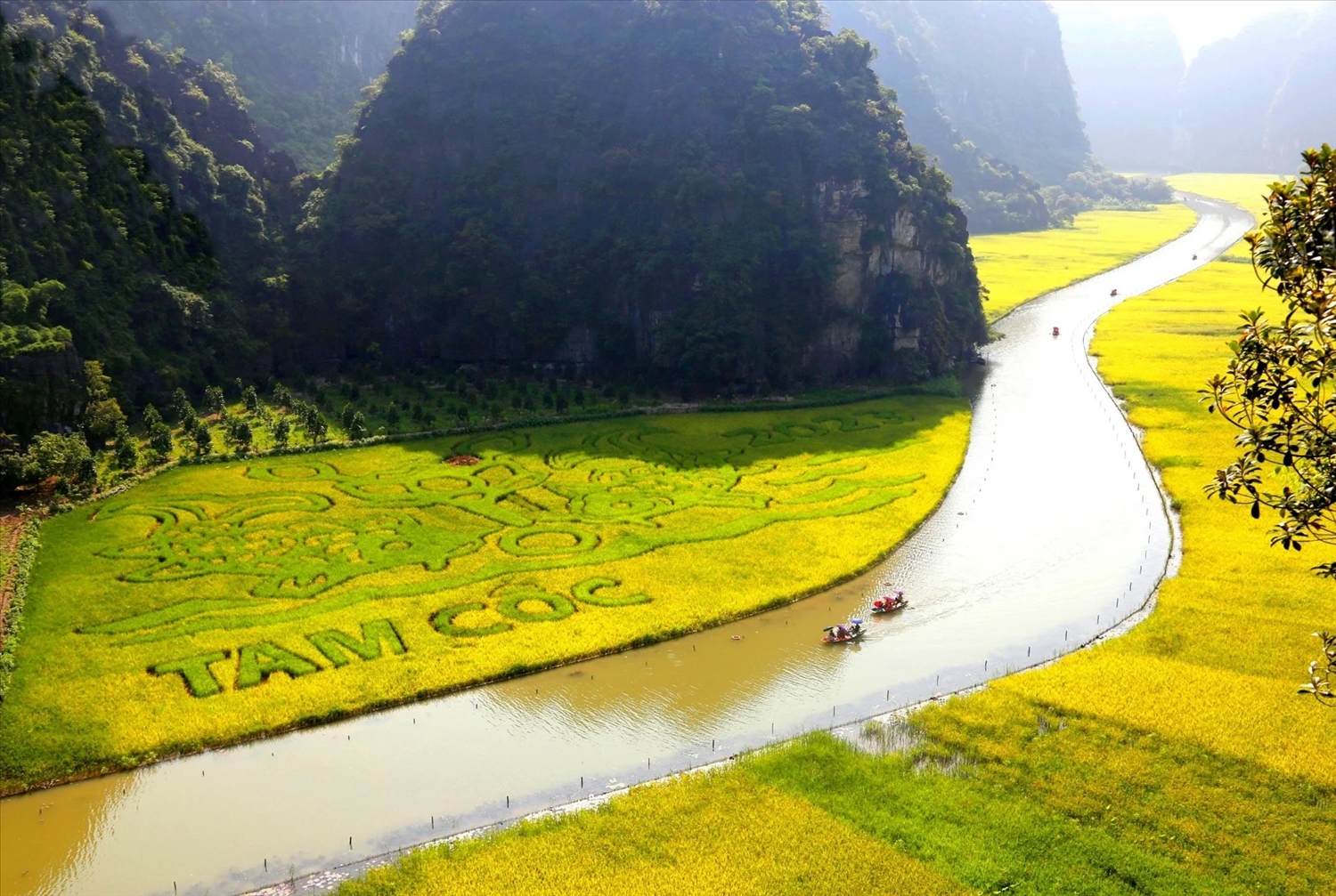 Sau Lễ khai mạc, đại biểu và du khách sẽ trải nghiệm cánh đồng lúa chín trên dòng Ngô Đồng.