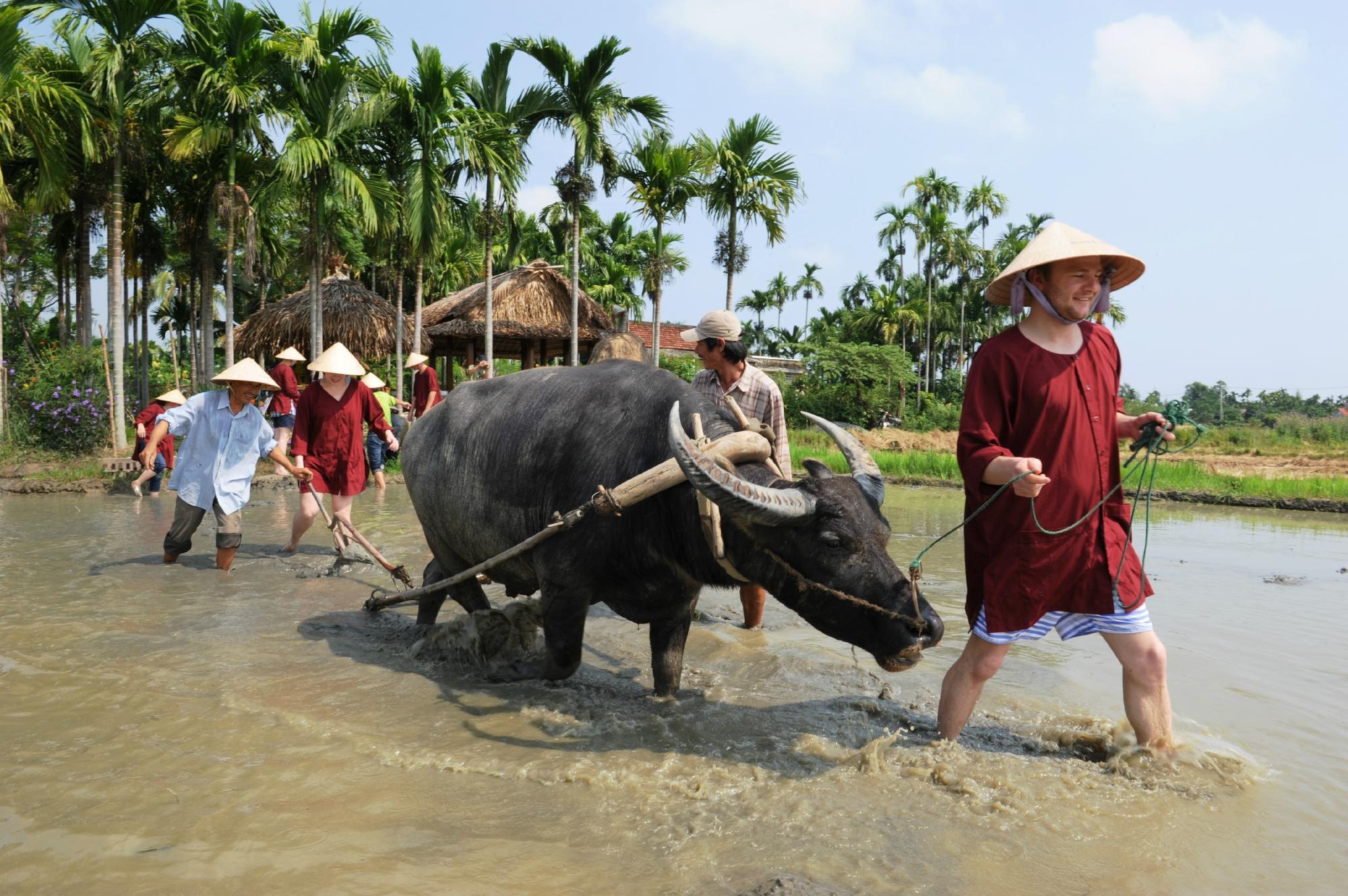Nhiều du khách quốc tế đã bỏ tiền để tới&nbsp;Việt&nbsp;Nam trải nghiệm cuộc sống làm nông dân.&nbsp;