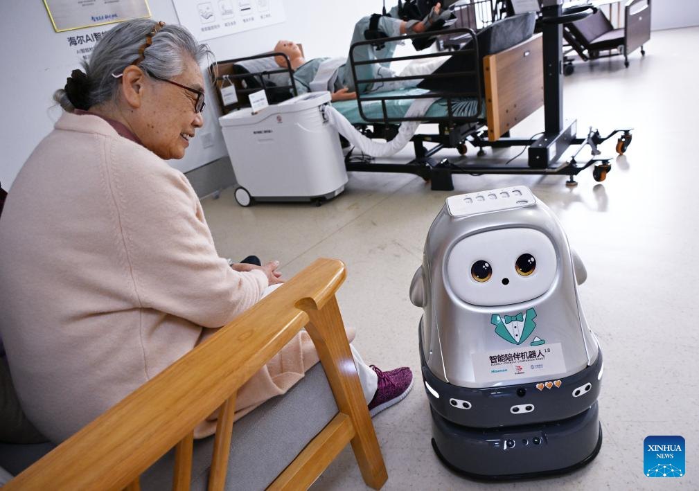 Quá trình đưa robot vào các viện dưỡng lão sẽ diễn ra từng bước, khó có thể đạt được trong thời gian ngắn.