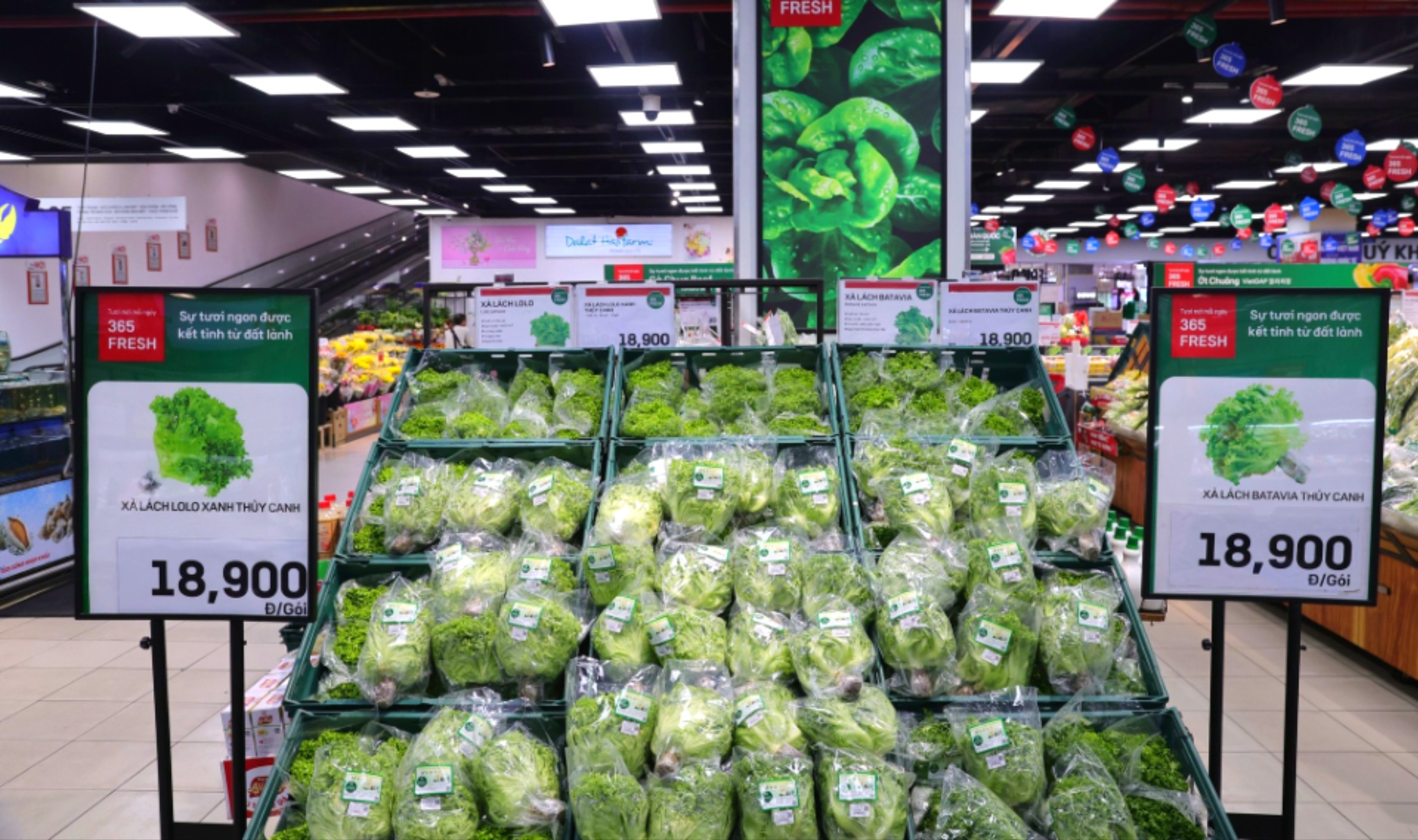 80% người tiêu dùng hiểu rõ về tiêu dùng xanh