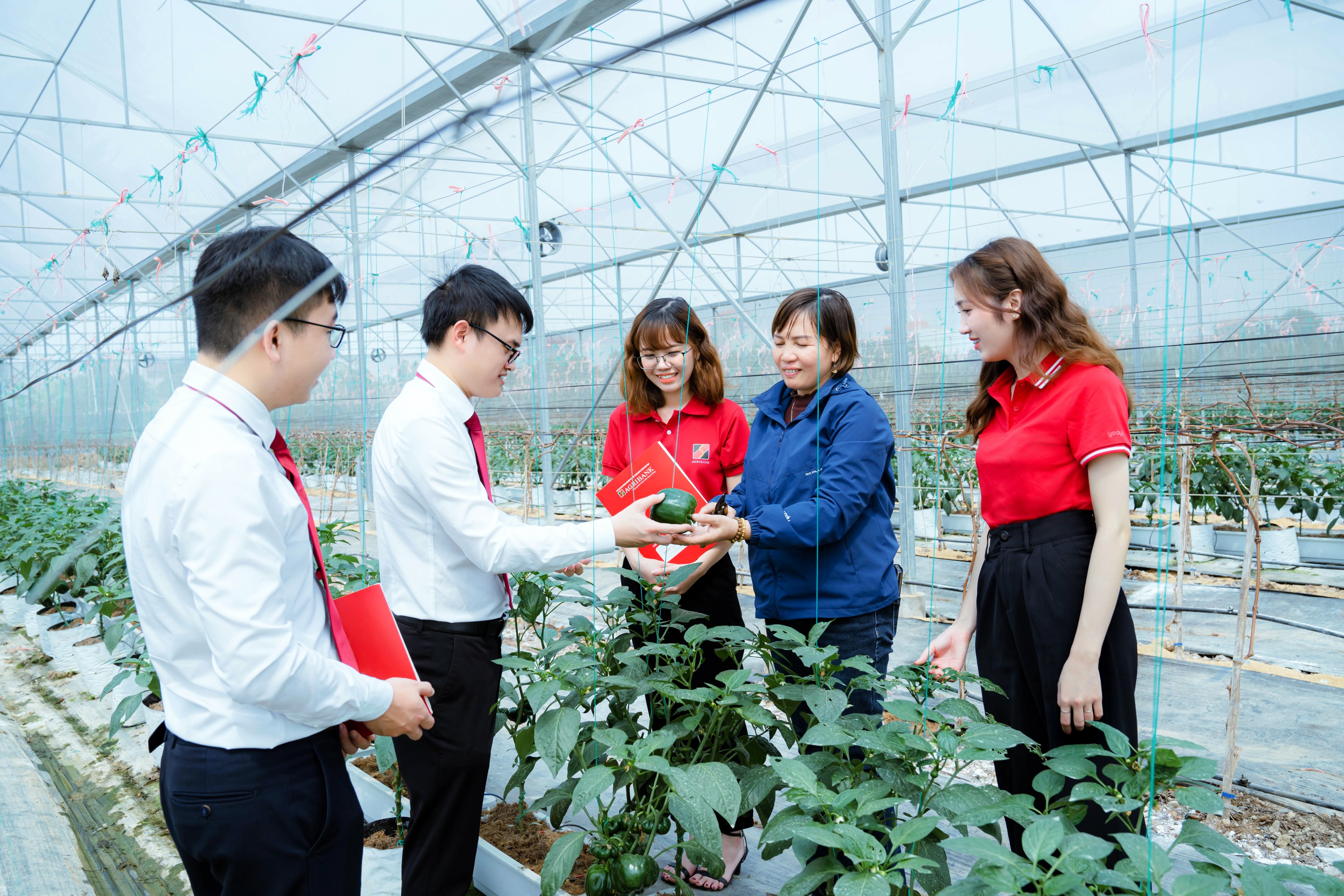 Các chương trình tín dụng ưu đãi cho các Pg88vn.top độc quyền mỗi ngày nông nghiệp quy mô lớn, Pg88vn.top độc quyền mỗi ngày xanh vẫn được tiếp tục triển khai với cơ chế riêng biệt. Ảnh:&nbsp;Agribank.