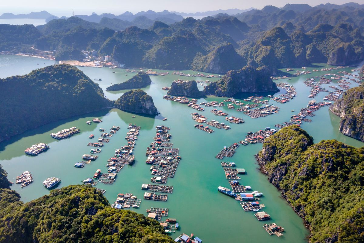 Làng chài Cửa Vạn, Vung Viêng đã được tỉnh Quảng Ninh phục dựng.&nbsp;