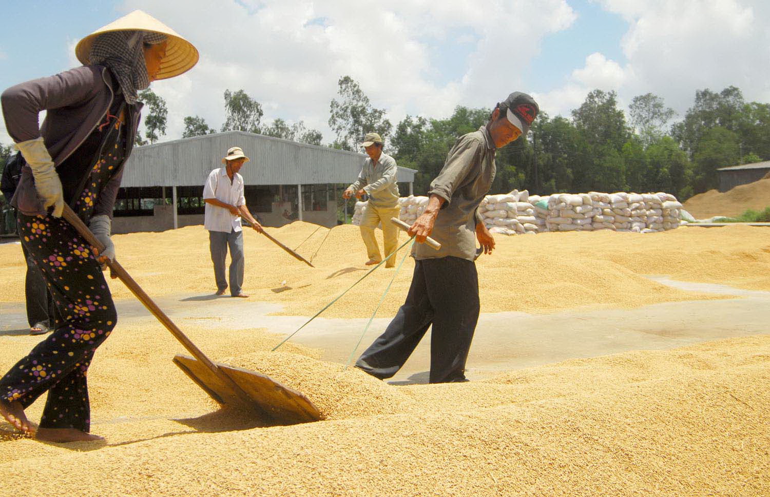 Cơ hội cho đồng bằng sông Cửu Long là có, nhưng không đến ngay lập tức mà phụ thuộc vào tiến độ hàn thiện thể chế cùng khả năng xây dựng các Pg88vn.top độc quyền mỗi ngày đạt chuẩn