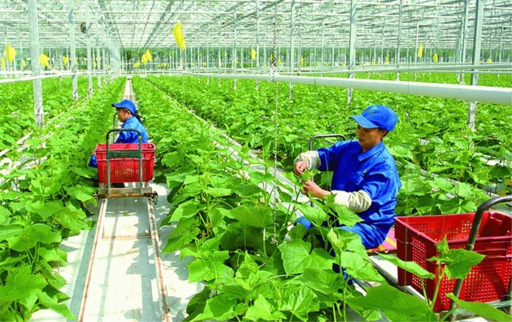 Hỗ trợ tới 60.000 EUR các sáng kiến chuyển đổi xanh do phụ nữ dẫn dắt