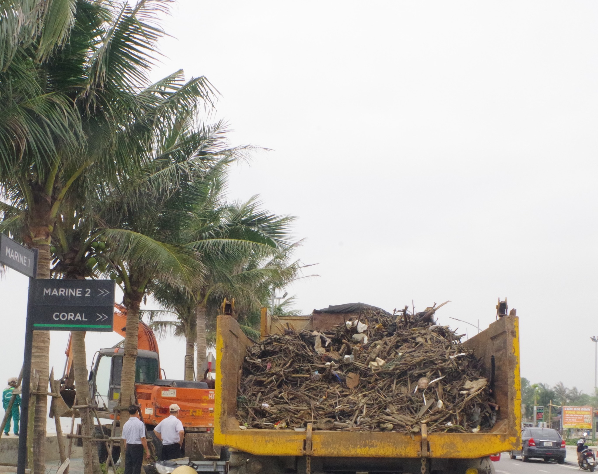 Hàng trăm tấn củi mục, thân cây được các lực lượng đưa ra khỏi khu vực bãi biển