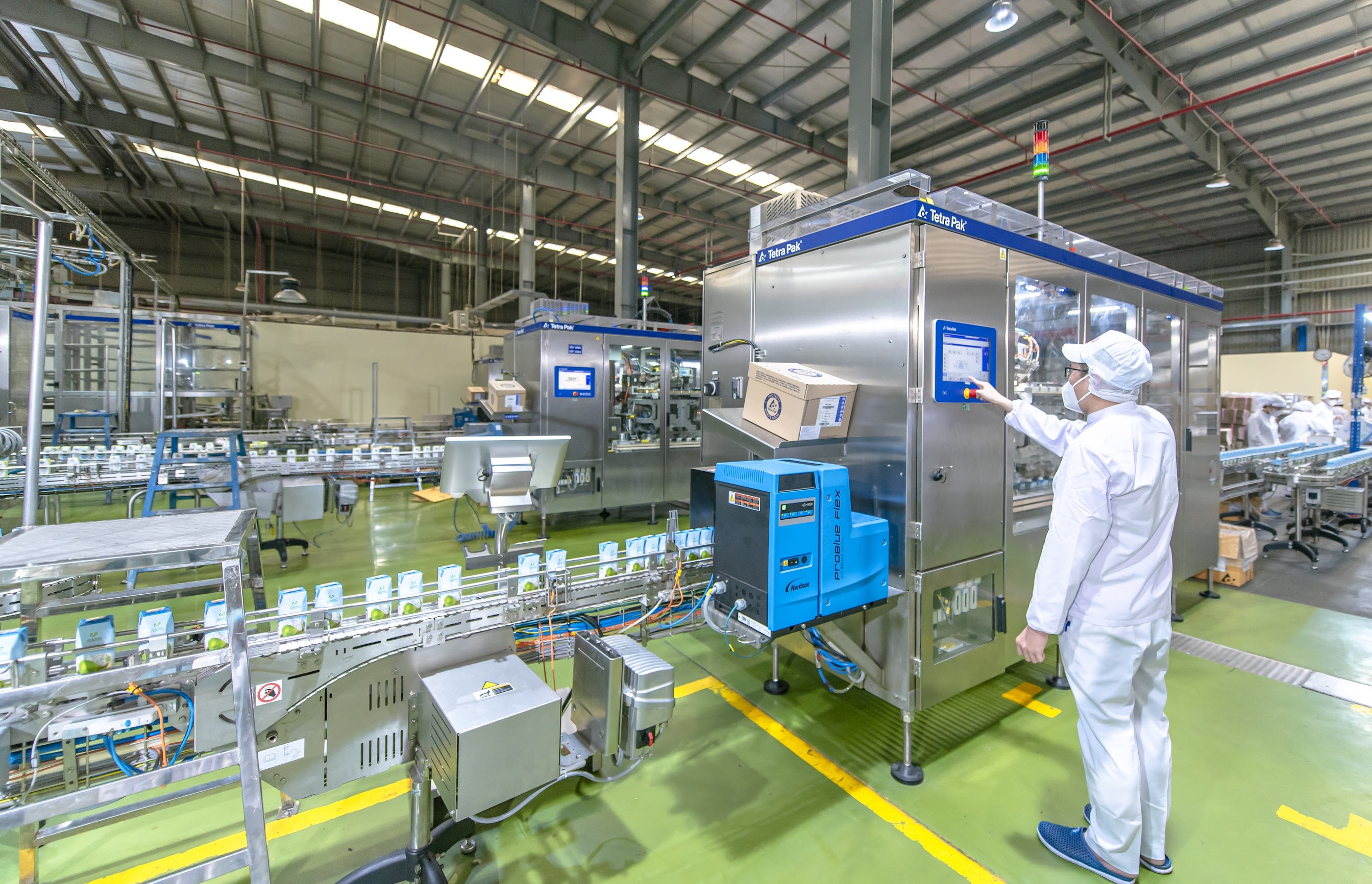 Ngành dừa tại Vĩnh Long đang hướng tới tăng trưởng bền vững, nâng cao năng lực sản xuất và chế biến