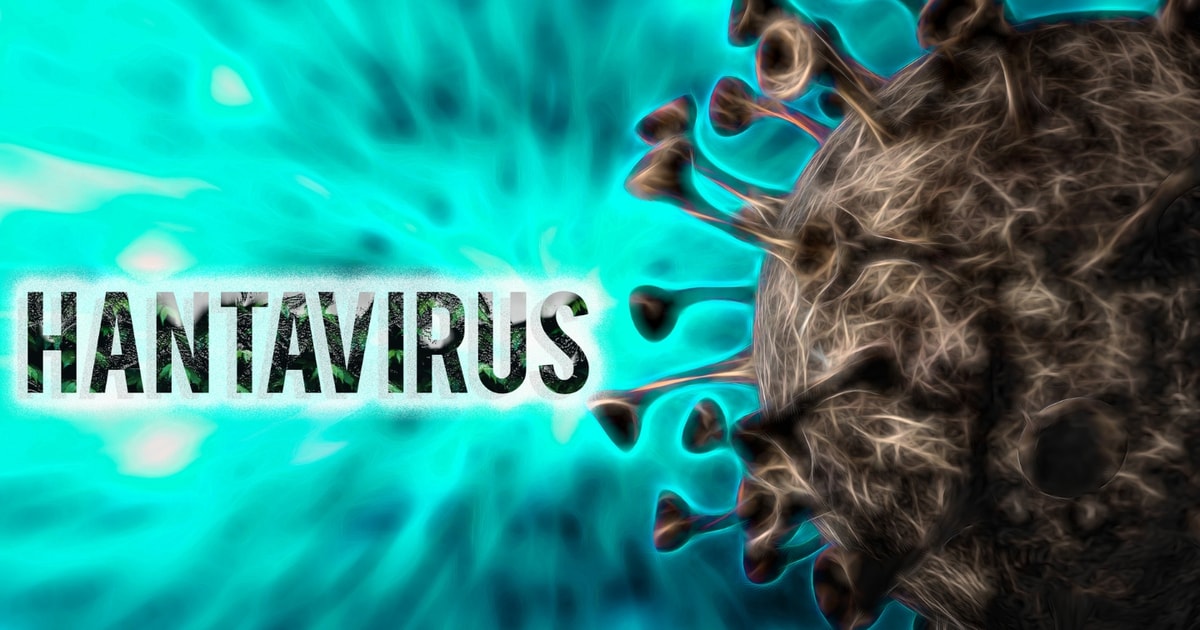 Bộ Y tế cập nhật thông tin mới nhất về bệnh do virus Hanta