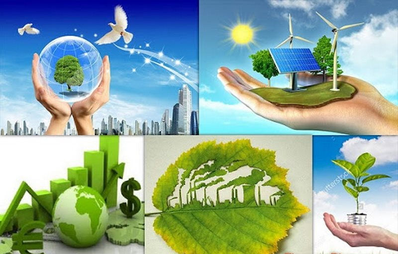 Bộ Nông nghiệp và Môi trường đang khẩn trương hoàn thiện các bước tiếp theo trong quá trình xây dựng dự thảo Nghị quyết để báo cáo Đảng ủy Chính phủ và triển khai các bước tiếp theo theo quy định. Ảnh minh họa