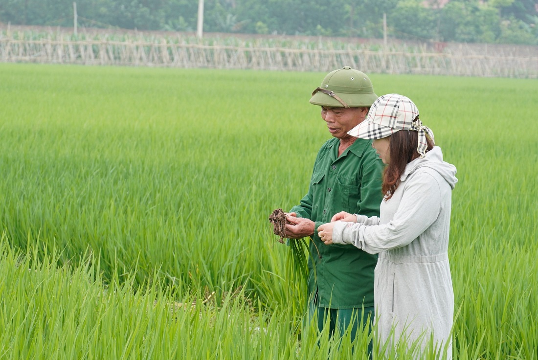 22 địa phương triển khai kế hoạch sản xuất trồng trọt giảm phát thải