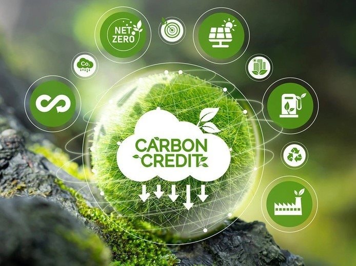 Với lợi thế sở hữu khoảng 1/3 giải pháp carbon dựa vào tự nhiên của thế giới, ASEAN có thể tạo ra tới 3.000 tỷ USD doanh thu. Ảnh minh họa
