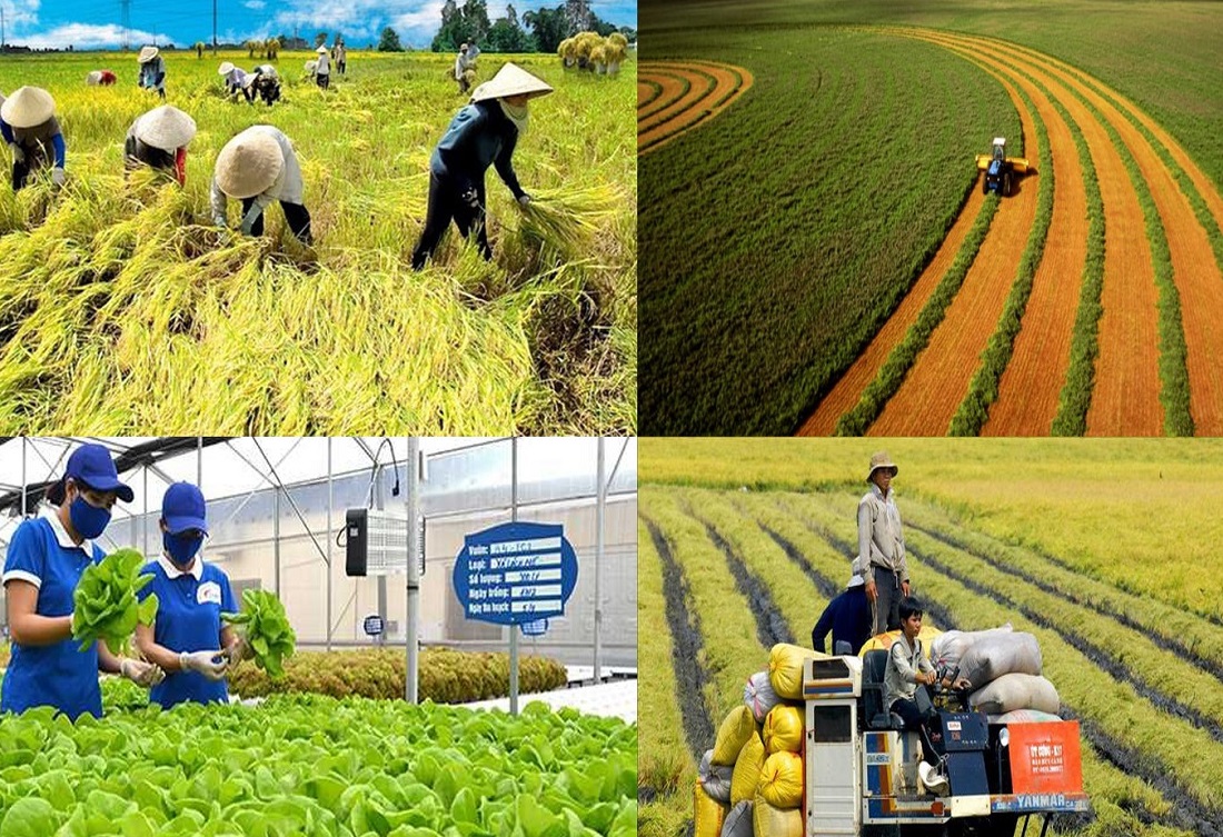 Nhiều 6Pg88.con độc quyền mỗi ngày, hợp tác xã và nông dân còn gặp khó khăn khi tiếp cận tín dụng. Ảnh minh họa.