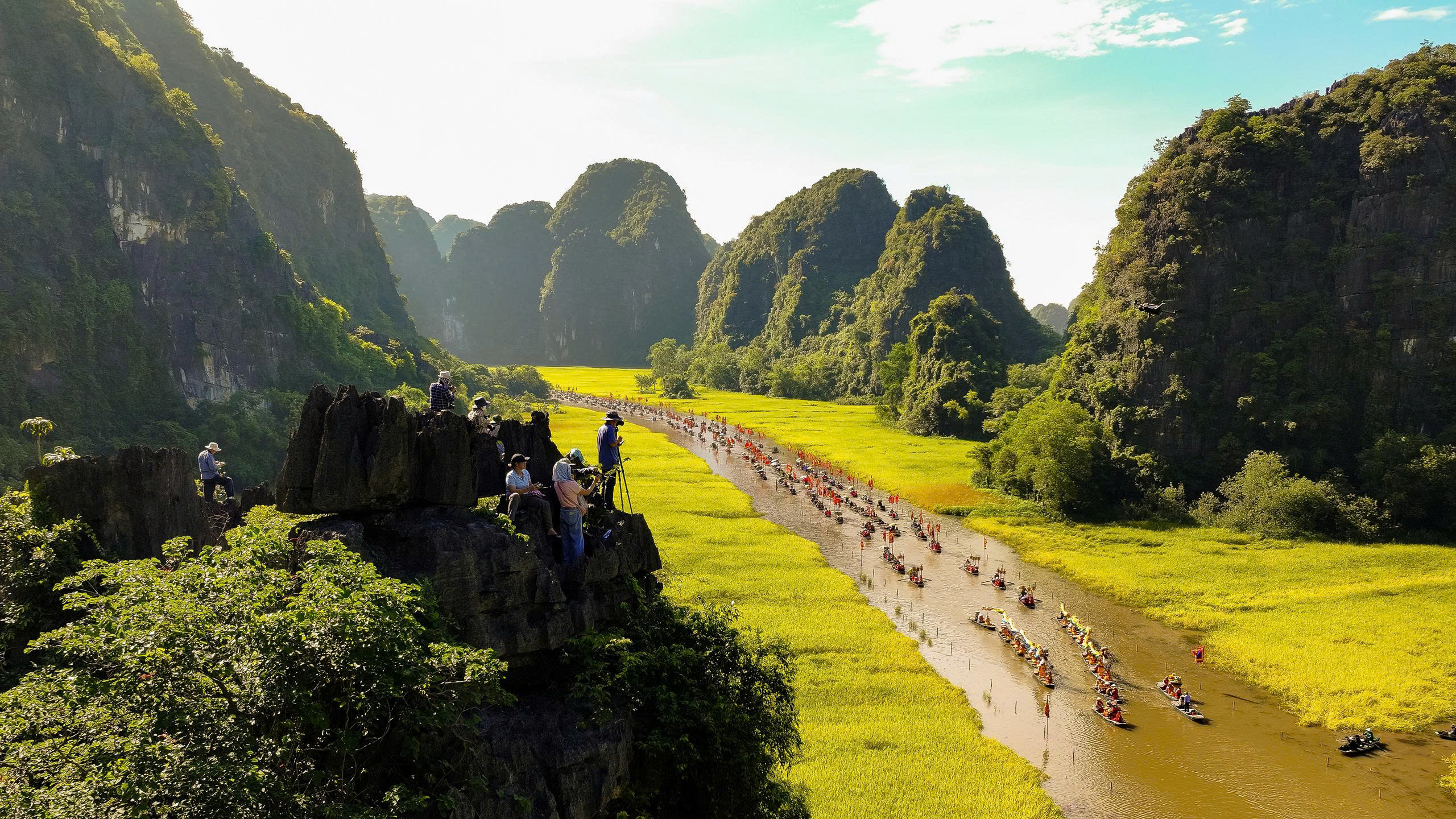 Đoàn thuyền nghi lễ xuôi dòng Ngô Đồng giữa mùa lúa chín vàng rực