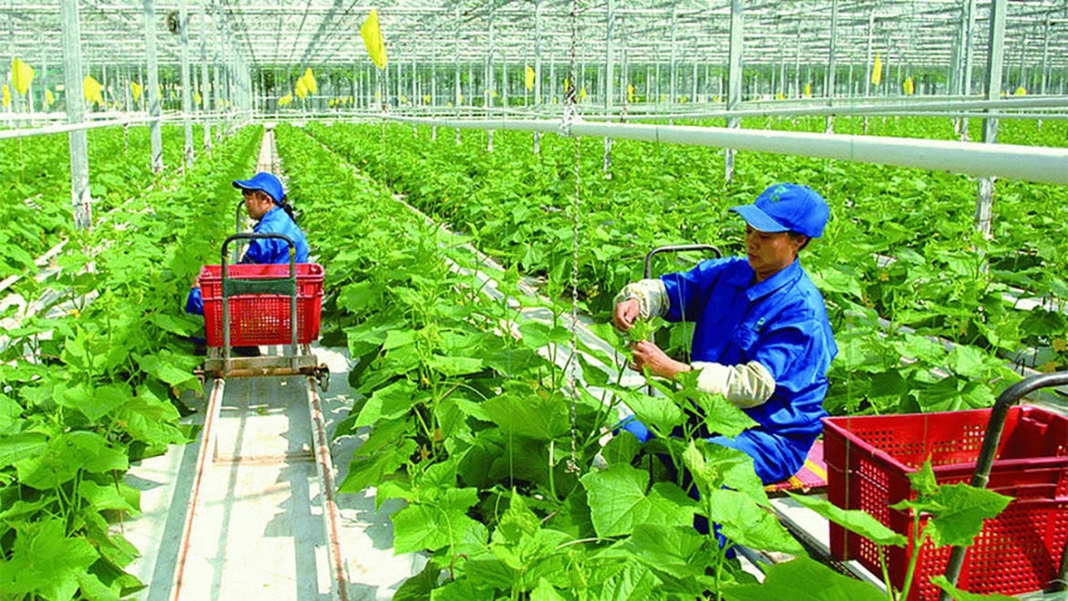 Điều kiện để PG88 Link Dễ Nhớ Pg88.com được hỗ trợ PG88 Uy Tín Số 1 Việt Nam bền vững