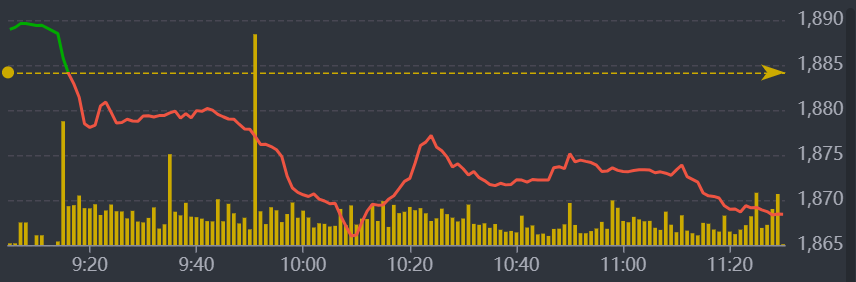 Diễn biến VN-Index sáng nay.