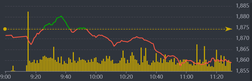 Diễn biến VN-Index sáng nay.