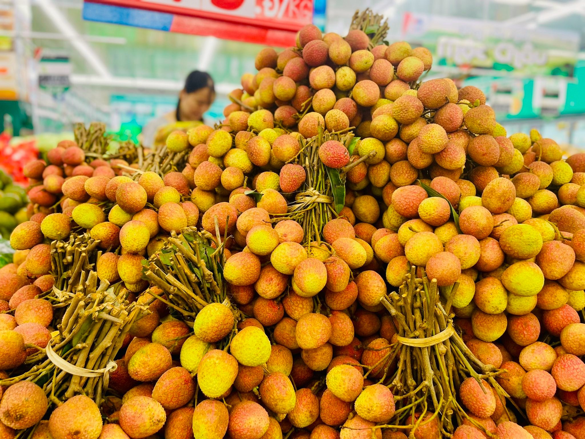 Vải thiều sắp “phủ đỏ” hệ thống bán lẻ hiện đại